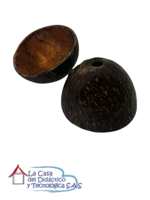 Par de Cocos